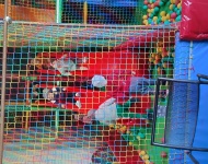 Wycieczka Jeżyków do Krainy Smaków