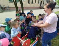 Ogródek warzywny 
