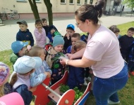 Ogródek warzywny 