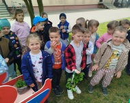 Ogródek warzywny 