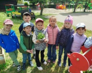 Ogródek warzywny 