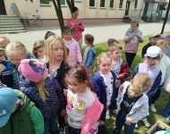 Ogródek warzywny 