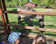 Wycieczka do Mini Zoo w Lesznie