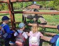 Wycieczka do Mini Zoo w Lesznie