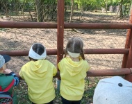 Wycieczka do Mini Zoo w Lesznie
