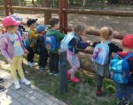 Wycieczka do Mini Zoo w Lesznie