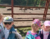 Wycieczka do Mini Zoo w Lesznie