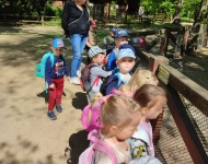 Wycieczka do Mini Zoo w Lesznie