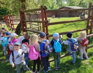 Wycieczka do Mini Zoo w Lesznie