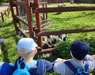 Wycieczka do Mini Zoo w Lesznie