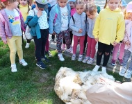 Wycieczka do Mini Zoo w Lesznie