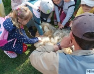 Wycieczka do Mini Zoo w Lesznie