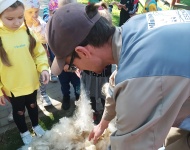 Wycieczka do Mini Zoo w Lesznie