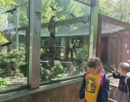 Wycieczka do Mini Zoo w Lesznie