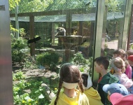 Wycieczka do Mini Zoo w Lesznie