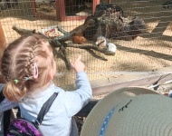 Wycieczka do Mini Zoo w Lesznie