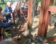 Wycieczka do Mini Zoo w Lesznie