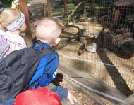 Wycieczka do Mini Zoo w Lesznie