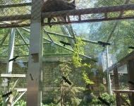 Wycieczka do Mini Zoo w Lesznie