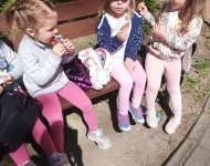 Wycieczka do Mini Zoo w Lesznie