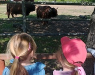 Wycieczka do Mini Zoo w Lesznie