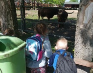 Wycieczka do Mini Zoo w Lesznie