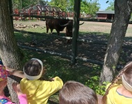 Wycieczka do Mini Zoo w Lesznie