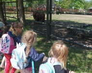 Wycieczka do Mini Zoo w Lesznie