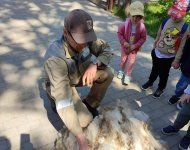 Wycieczka do Mini Zoo w Lesznie