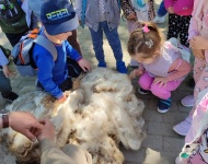 Wycieczka do Mini Zoo w Lesznie