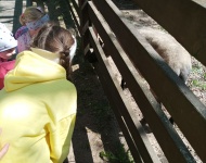 Wycieczka do Mini Zoo w Lesznie