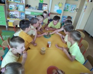 Światowy Dzień Pszczół
