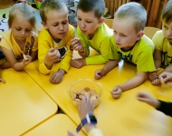 Światowy Dzień Pszczół