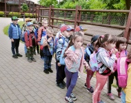 Wycieczka do Mini Zoo