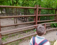 Wycieczka do Mini Zoo