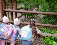 Wycieczka do Mini Zoo