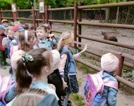 Wycieczka do Mini Zoo