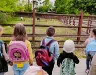 Wycieczka do Mini Zoo