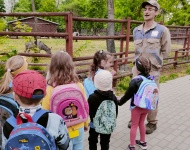 Wycieczka do Mini Zoo