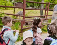Wycieczka do Mini Zoo
