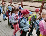 Wycieczka do Mini Zoo