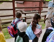 Wycieczka do Mini Zoo
