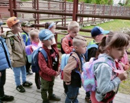Wycieczka do Mini Zoo