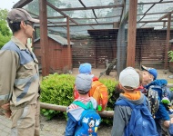 Wycieczka do Mini Zoo
