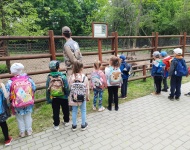 Wycieczka do Mini Zoo