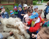 Wycieczka do Mini Zoo