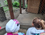 Wycieczka do Mini Zoo