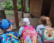 Wycieczka do Mini Zoo