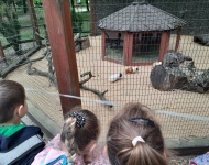 Wycieczka do Mini Zoo