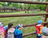 Wycieczka do Mini Zoo